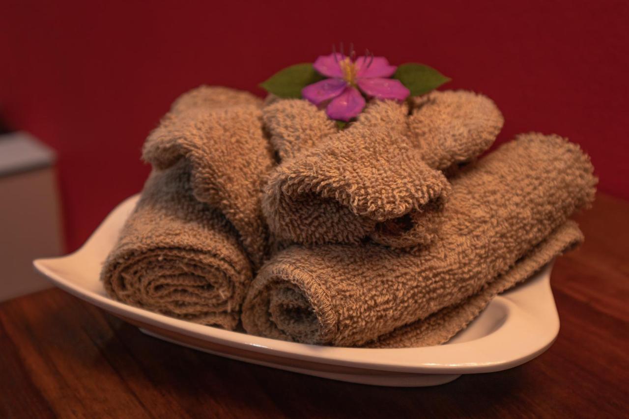 Hotel Boutique The Green Jungle House Puerto Viejo de Talamanca ภายนอก รูปภาพ