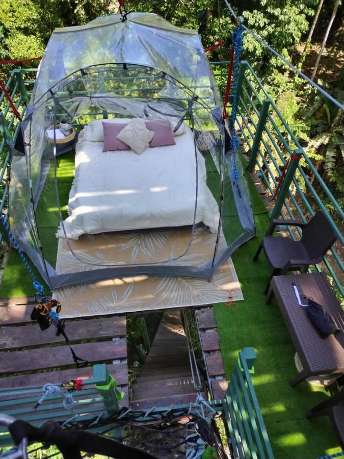 Hotel Boutique The Green Jungle House Puerto Viejo de Talamanca ภายนอก รูปภาพ