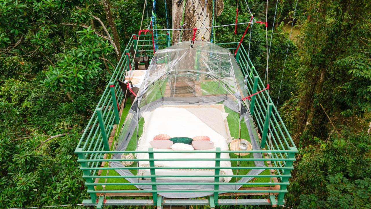 Hotel Boutique The Green Jungle House Puerto Viejo de Talamanca ภายนอก รูปภาพ