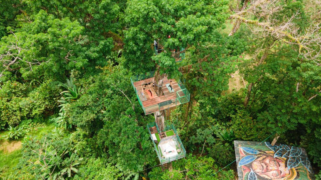 Hotel Boutique The Green Jungle House Puerto Viejo de Talamanca ภายนอก รูปภาพ