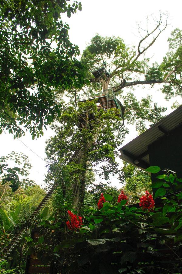 Hotel Boutique The Green Jungle House Puerto Viejo de Talamanca ภายนอก รูปภาพ
