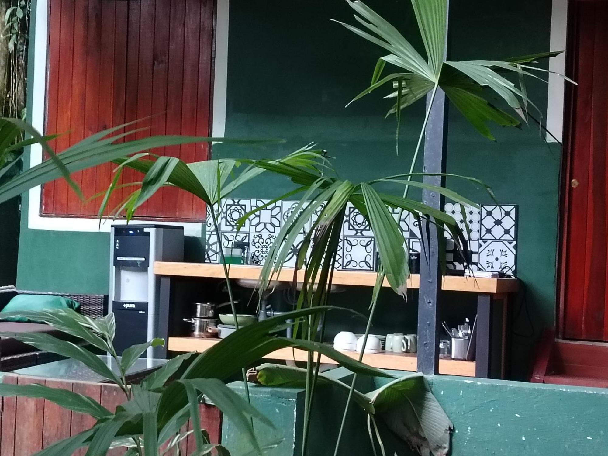 Hotel Boutique The Green Jungle House Puerto Viejo de Talamanca ภายนอก รูปภาพ